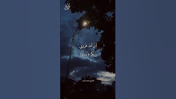 فَاتَّقُوا اللَّهَ وَأَطِيعُونِ - القارئ محمد دياب