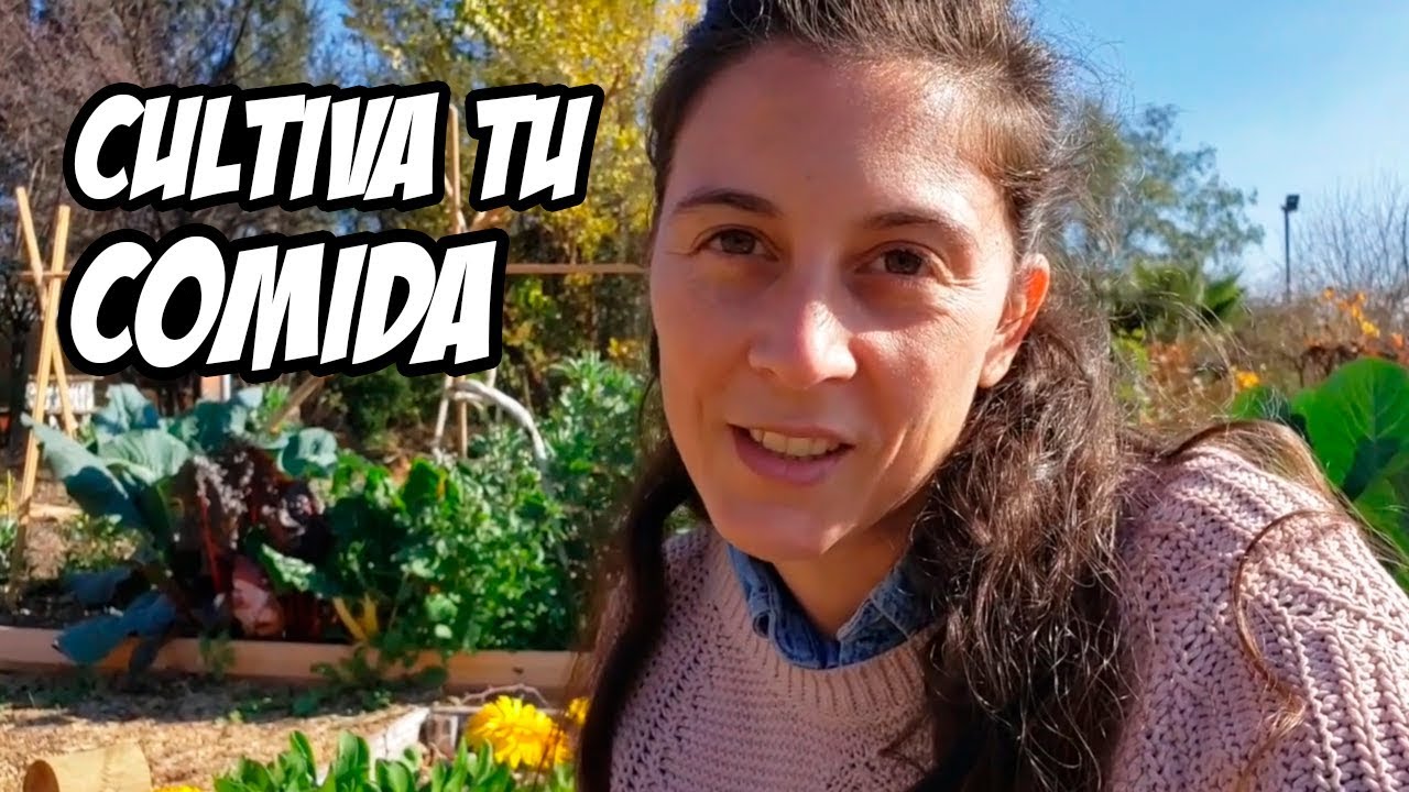 LA HUERTA CAMBIA TU VIDA DE UNA FORMA INCREÍBLE 🌱 | Wini Walbaum