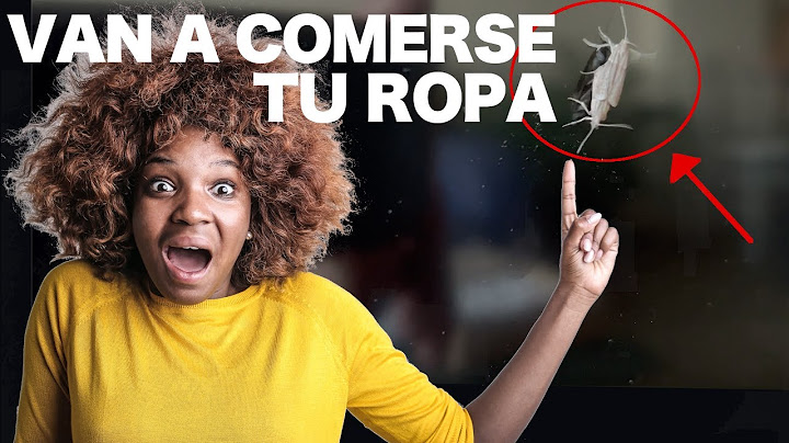 Como ELIMINAR polillas y larvas de casa ❌🏡 9 TRUCOS para LOGRARLO