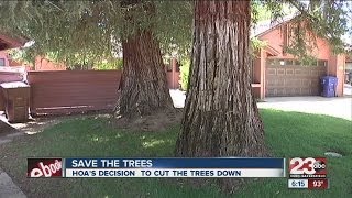 Neighbors in Rio Bravo neighborhood tried to save two Redwood trees from being cut down