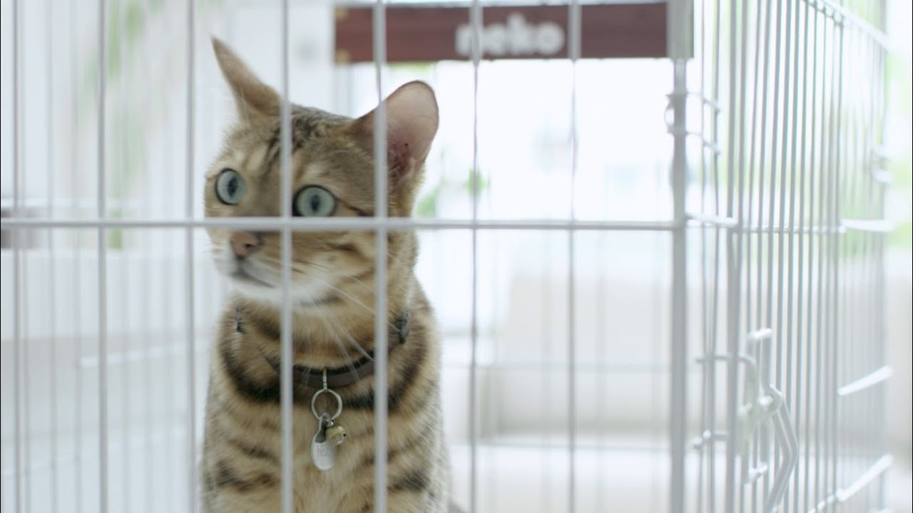 Samsung Connect Home saves the day!