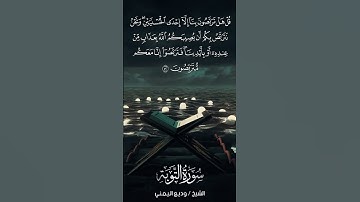 سورة التوبة | At-Tawbah | آية 52 | الشيخ وديع اليمني