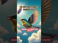 The Bird Who Found a Rainbow Seed #englishshortstory #storytelling #shortstory