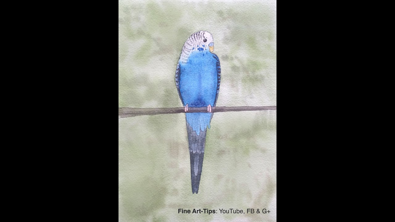 ⁣How to Paint a Budgerigar in Watercolor