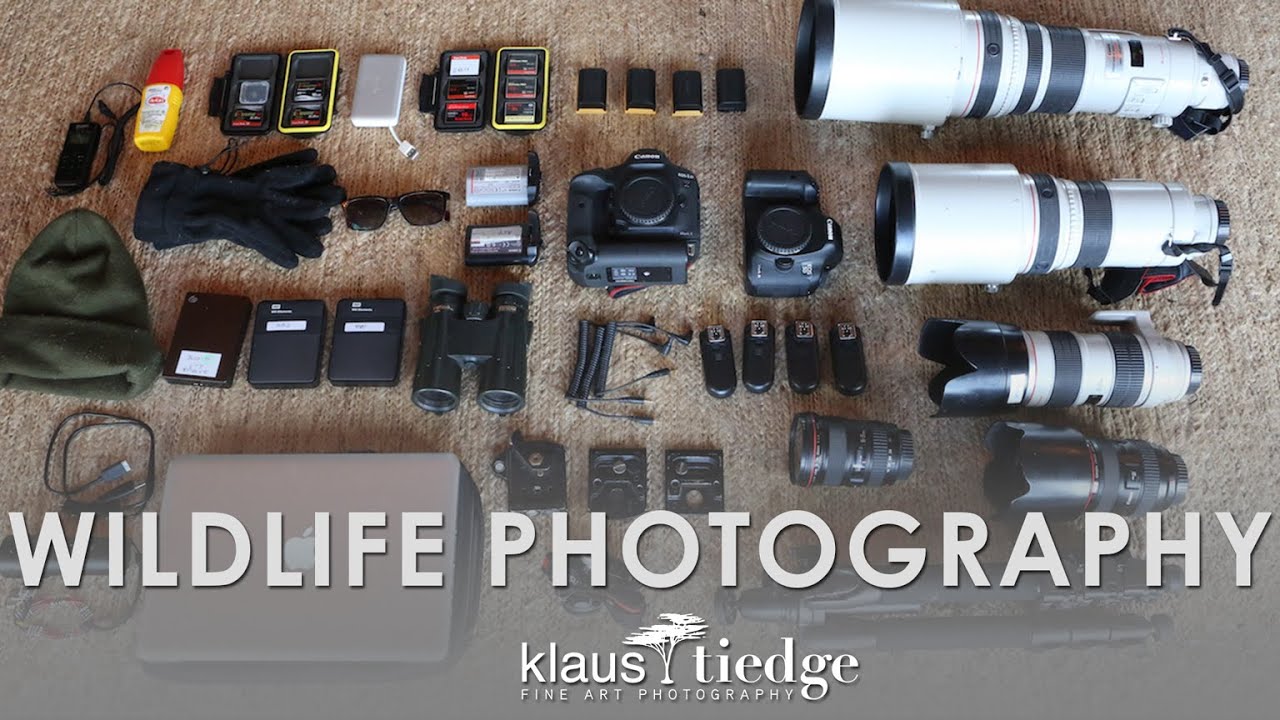 What Gear do you use? Wildlife Photography with Klaus Tiedge YouTube