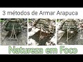 Os 3 melhores métodos de armar uma Arapuca