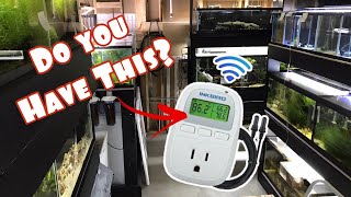 Aquarium Temperature Controllers and the Inkbird 929A