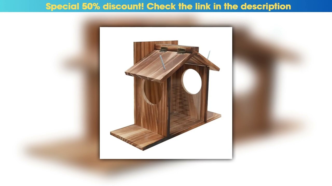 Review Squirrel Feeder Box Winter Outside Feeding House Squirrel Feeder Large Feeder Box Waterproof