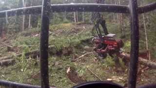 waratah 624