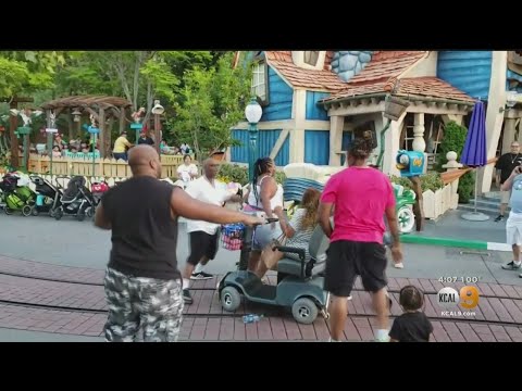 Three Family Members Charged In Disneyland Brawl Caught On Video