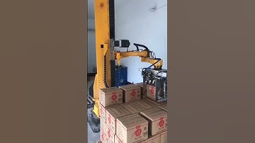 Robotic palletizer
