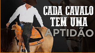 Cada cavalo tem uma aptidão.