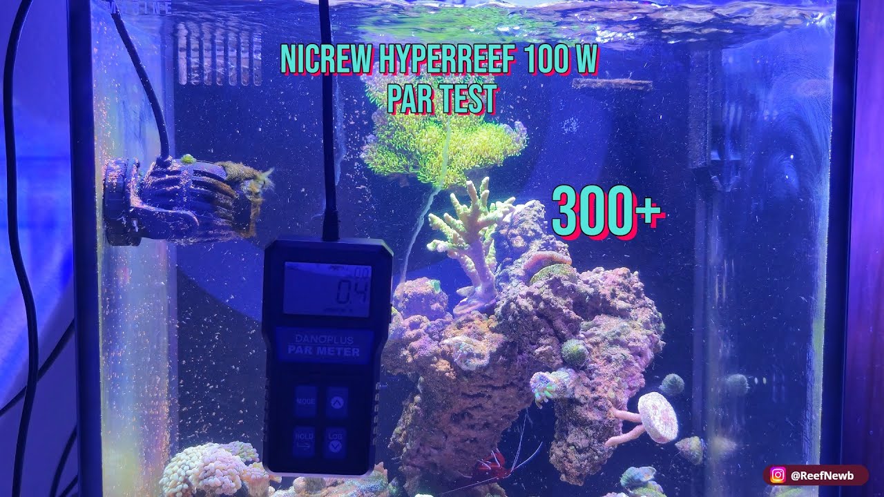 Danoplus Par Meter: Nicrew 100w Aquarium LED Reef Light 15G AIO Saltwater Aquarium