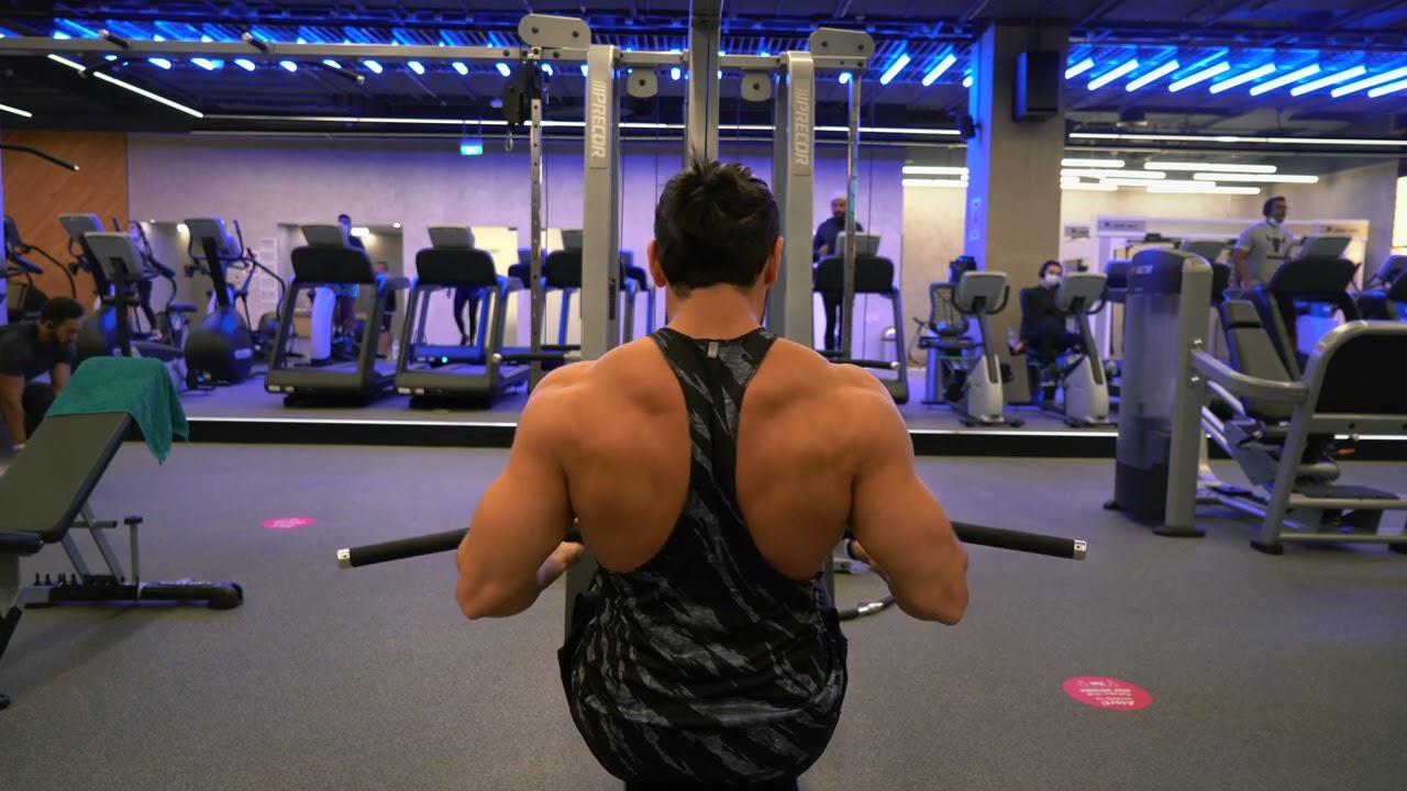 Seated Reverse Rows