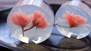 【内緒の裏わざ】SNS映えする桜の琥珀みたいな錦玉羹！超簡単な作り方！