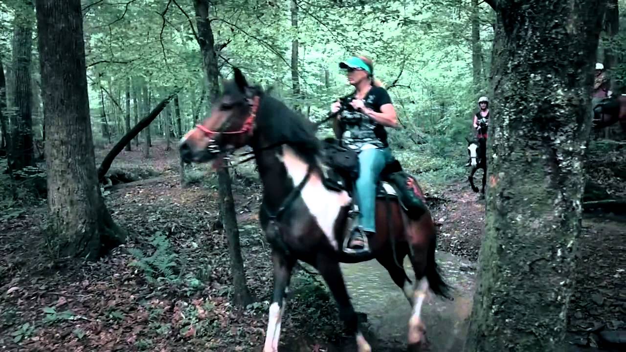 Oak Mountain State Park: Horse Trails