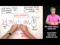 Heat Transfer and Phase Changes in Chemistry