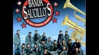 Video thumbnail of "Mi fantasia - Banda Saucillos"