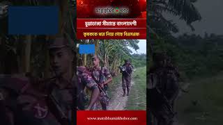 চুয়াডাঙ্গা সীমান্তে বাংলাদেশী কৃষককে ধরে নিয়ে গেছে বিএসএফ