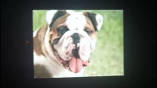 Download lagu Jeda Iklan Doraemon RCTI Minggu 17 November 2013 Part 2