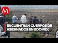 Video de Coyotepec