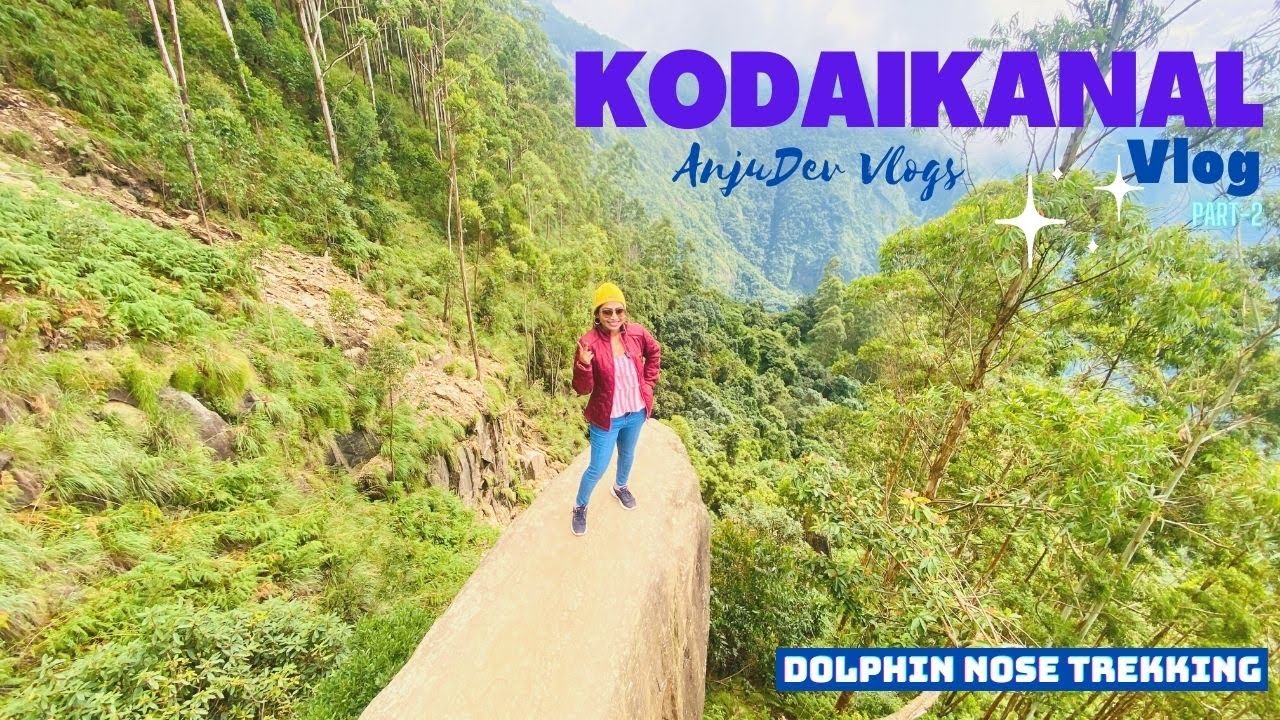 KODAIKANAL Vlog| Dolphin Nose Trekking Kodaikanal |Tourist Places in Kodaikanal| Coakers Walk
