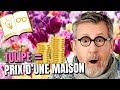 Tulipe : Le prix d&#39;une maison ? | Confinement Jour 8