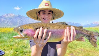 Top 10 Trout Fishing Lakes in California