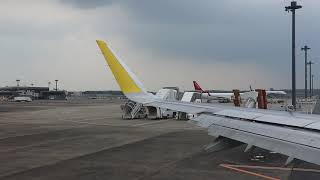 Cebu Pacific Flight Narita to Manila