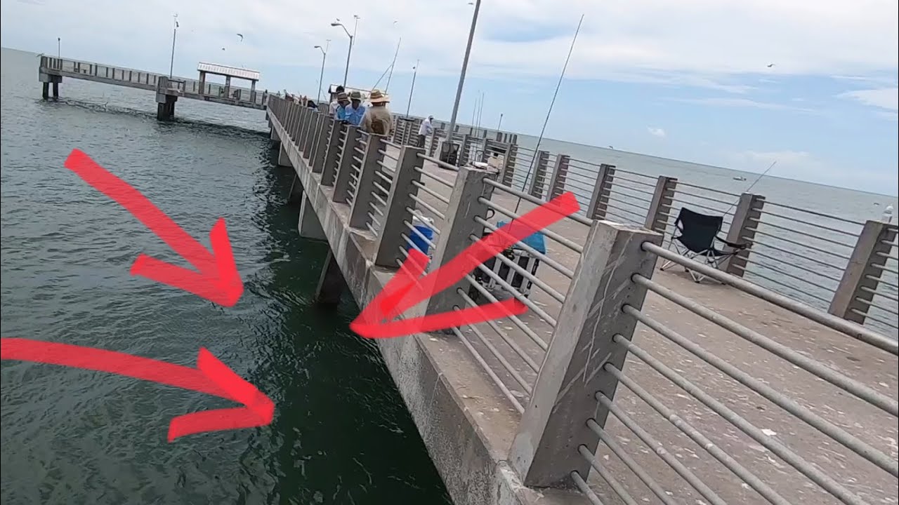 Lost It at Fort De Soto Pier During Summertime Fishing Adventure