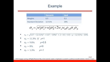 Chapter 8 b: Risk and Return