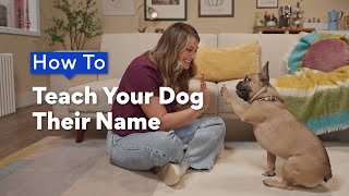 How To Teach Your Dog Their Name | Chewtorials by Chewy 785 views 3 weeks ago 2 minutes, 18 seconds