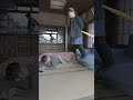 Zero Gravity