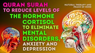 Quran Surah to Reduce Levels of The Hormone Cortisol to Eliminate Mental Disorder Anxiety Depression