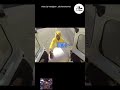 とんでもないピカチュウ | panda情報局