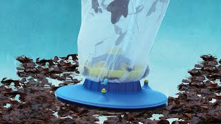 Does the Pool Blaster by Water Tech exceeded my expectations OMG!