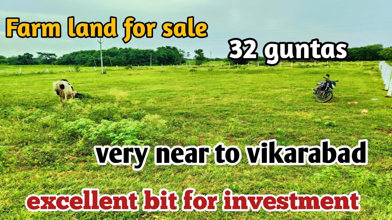Farm land for sale 32 guntas land near to vikarabad excellent bit for investment 👍🍒⚓🚗
