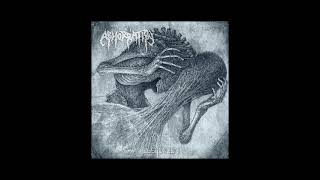 Abhorration - Inflamed Appendage
