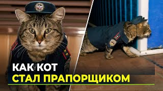Носит форму и ведет соцсети: в Тюмени кот поступил на службу в пожарную часть