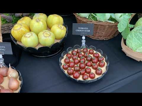 Video: Kumusta Ang Chelsea Flower Festival