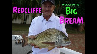 Redcliffe - Where you find the &quot;BIG BREAM&quot; - Here Fishy Fishy