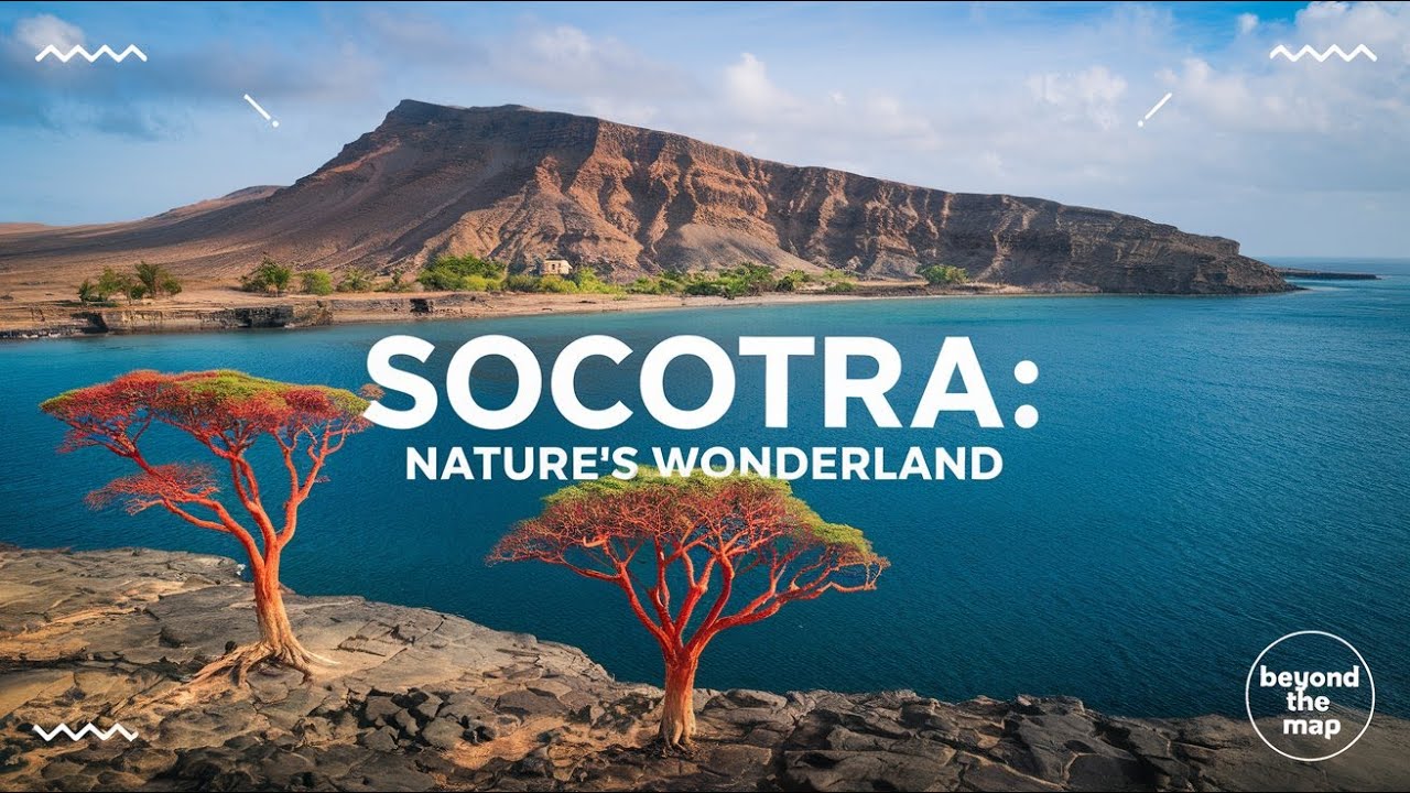 Why Socotra Island Should Be Your Next Travel Destination