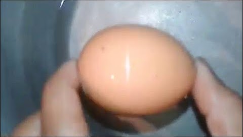 Remove an EGGshell, Easy and Quick