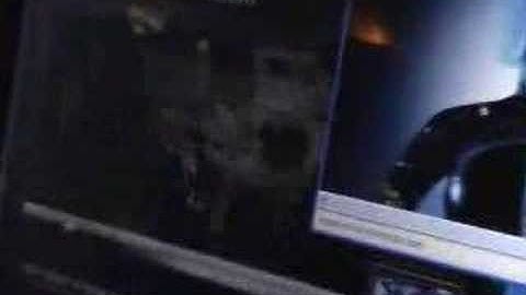 Motorola WiMax PC card demo