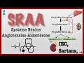 Système Rénine Angiotensine Aldostérone SRAA et ses bloqueurs : IEC, Sartans