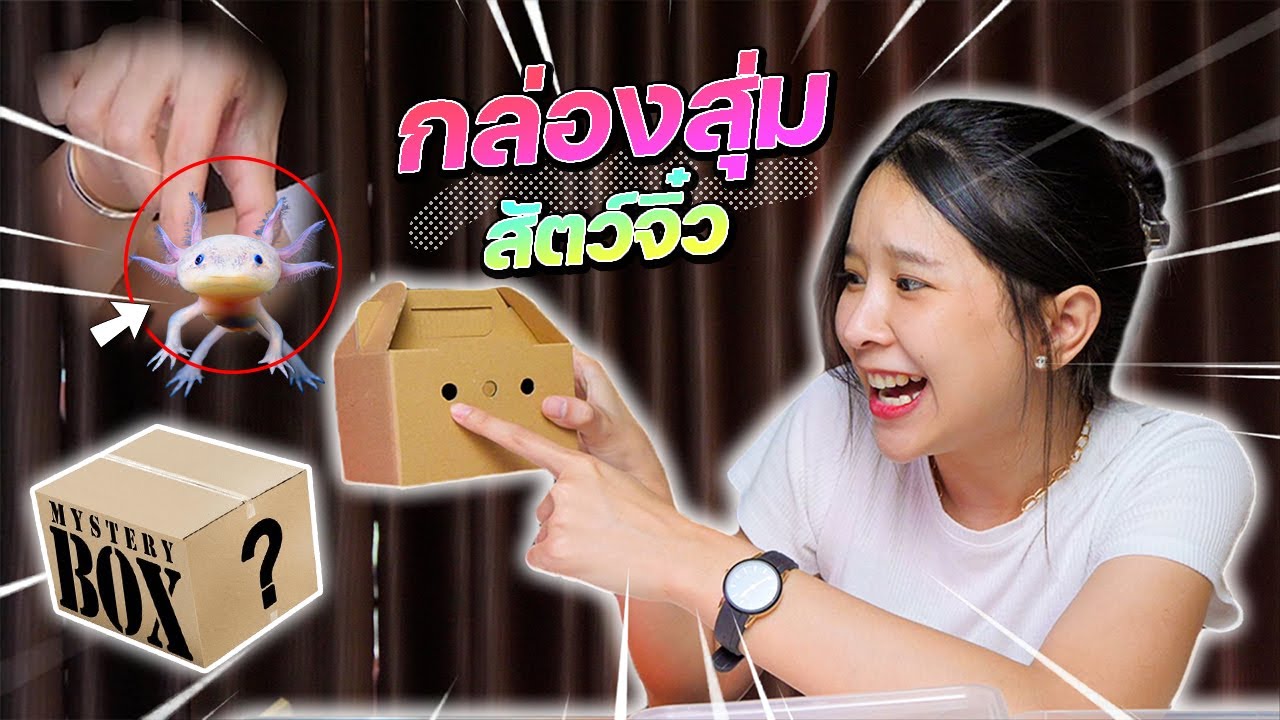 เลี้ยงหมา  New  เปิดกล่องสุ่มสัตว์จิ๋ว !! 10 ชีวิต จะเลี้ยงไหวมั๊ย ??