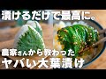 【5分で作れる】これはヤバい。ご飯や野菜が止まらなくなる、大葉の簡単漬け3種