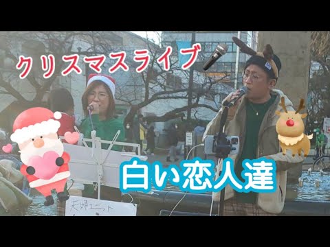 【クリスマス路上ライブ】白い恋人達/桑田佳祐 covered by あきゆた。