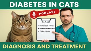 Is Your Cat Diabetic? Early Signs & Vet-Approved Treatment 🩺