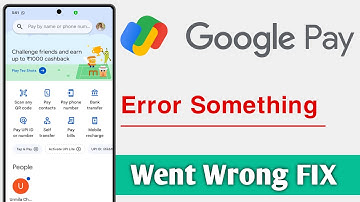 Google Pay Error Something Went Wrong Problem Solve